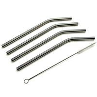 Set van 24x stuks RVS rietjes inclusief reinigingsborstel