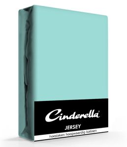 Cinderella Jersey Hoeslaken Mineral-160 x 210/220 cm