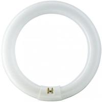 Philips ronde tl 40w/840 tle coolwhite 5900617