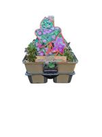 Geranium x cantabrigiense Karmina - Ooievaarsbek 6 pack