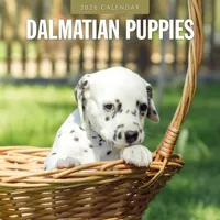 Dalmatier Puppies Kalender 2026