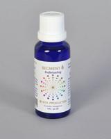 Vita Segment 6 stofwisseling (30 ml)