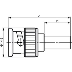 Telegärtner 100023493 100023493 BNC-connector Stekker, recht 75 Ω 1 stuk(s)