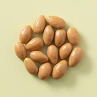 Chocolade amandelen karamel zeezout 5 kg doos