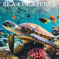 Sea Creatures Kalender 2026