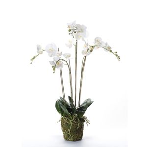 Emerald Emerald Kunstplant orchidee met mos wit 90 cm 20.355
