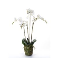 Emerald Emerald Kunstplant orchidee met mos wit 90 cm 20.355 - thumbnail