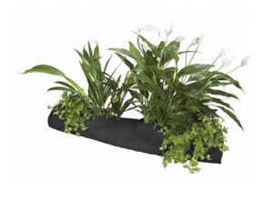 Plant Sock 10 x 80 cm display 35 vijveraccesoires - Velda