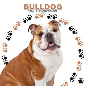 Engelse Bulldog Kalender 2026