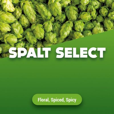 Hopbellen Spalt Select 2024 5 kg