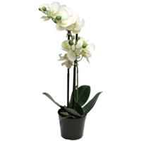 Orchidee bloemen kunstplant Bora - bloemen/bloemetjes - wit - H50 cm - Phalaenopsis - thumbnail