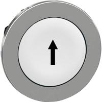 Schneider Electric ZB4FA334 ZB4FA334 Plat, Terugstelbaar (Ø) 30.5 mm ↑ Chroom, Wit 1 stuk(s)