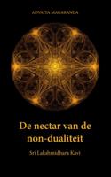 De nectar van de non-dualiteit (Paperback)