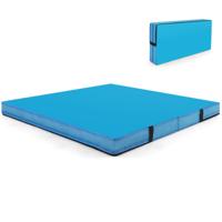 Vouwbare Gymmat 122 x 122 x 10 cm Dikte Dubbelvouwbare Gym-tumblingmat met Kunstlederen Hoes Blauw