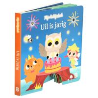 Boek Uil Is Jarig Lichtjesboek