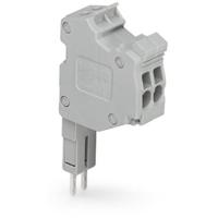 WAGO 2000-555 Connector, female Grijs 10 stuk(s) - thumbnail