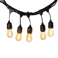 Cotton Ball Lights Premium Patio Lichtslinger Edison Bulbs Starter Kit