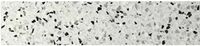 Plint Terre d'Azur Granito 7,5x40 cm Wit / Grijs / Zwart / Terra 1 ST