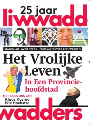 Het vrolijke leven in een provinciehoofdstad (Paperback)