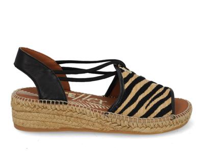 Viguera 2299 cebra multi zwart maat 40