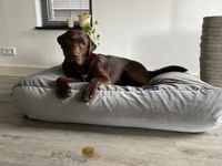Dog's Companion® Hondenbed Olifant velours