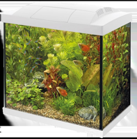 Superfish Start 50 tropical aquarium wit