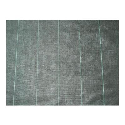 Anti-wiernetten Nature Zwart 100 g/m² 3,30 x 5 m