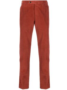 PT Torino pantalon chino à coupe droite - Rouge