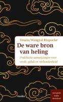 De ware bron van heling (Paperback)