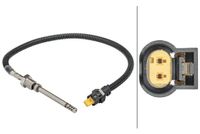 Sensor, uitlaatgastemperatuur 6PT358181741