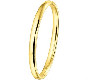 TFT Slavenband Goud Scharnier Half Ronde Buis 6 X 60 mm