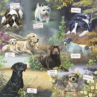 Man's Best Friends Puzzel 1000 Stukjes - thumbnail