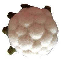 Papoose Toys Papoose Toys Vegetable Cauliflower - thumbnail