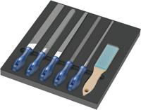 Wera 9783 Schuimrubberen inzetstuk met PFERD vijlen Set 1, 6-delig - 05150183001 Wera 9783 Schuimrubberen inzetstuk met PFERD vijlen Set 1, 6-delig - 05150183001
