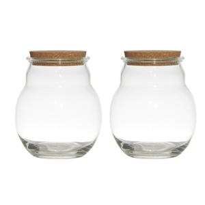 Glazen voorraadpot/snoeppot/terrarium vaas - Set van 2x stuks - 17 x 20 cm - met kurk dop