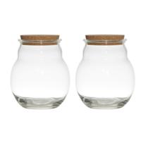 Glazen voorraadpot/snoeppot/terrarium vaas - Set van 2x stuks - 17 x 20 cm - met kurk dop