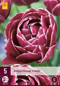 X 5 Tulipa Dream Touch