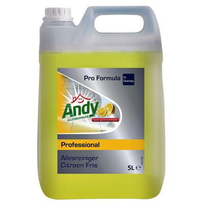 Allesreiniger Andy citroen fris 5 liter