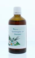 Balancepharma HGP014 Gemmoplex darmen 100 Milliliter