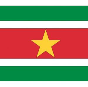 Vlag van Suriname stickers - 20x - 7.5 x 10 cm - Binnen/buiten