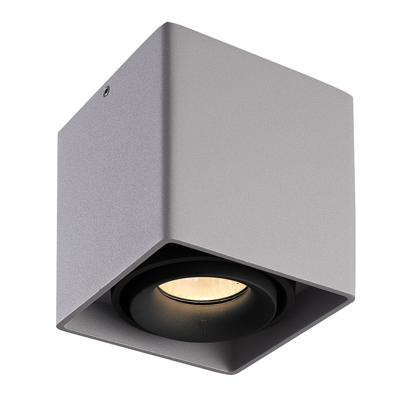 Dimbare LED Opbouwspot plafond Esto - Grijs met zwarte afdekring - IP20 - kantelbaar - excl. GU10 lichtbron - voor droge ruimtes