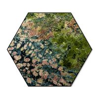 Hexagon Mos No.3 100 breed x 86.6 hoog Wit - thumbnail