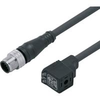 ifm Electronic E11437 E11437 Klepstekker met aangegoten kabel Inhoud: 1 stuk(s)