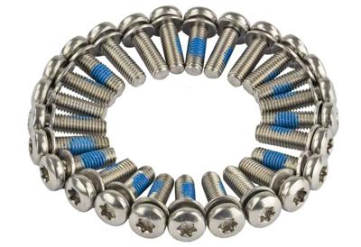 ANP BOUT M5X16 TORX M/PLAAT RVS DS A 25