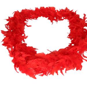 Carnaval verkleed veren boa slinger - rood - 180 cm - 50 gram - Dames