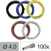 Quadrios 25CW120 Enkele ader LiFY 4.0 mm² Zwart, Blauw, Geel-groen, Bruin, Grijs 1 set(s) Quadrios 25CW120 Enkele ader LiFY 4.0 mm² Zwart, Blauw, Geel-groen, Bruin, Grijs 1 set(s)