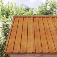 VidaXL Dakpanelen 36 st 60x44 cm cortenstaal roestig