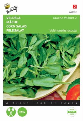 Veldsla Groene Volhart 2 - Buzzy