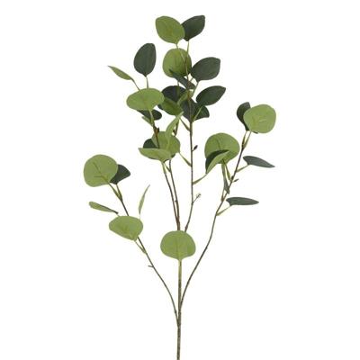 Kunsttak Eucalyptus