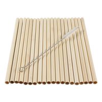 20x Bamboe rietjes 20 cm met borstel   - - thumbnail